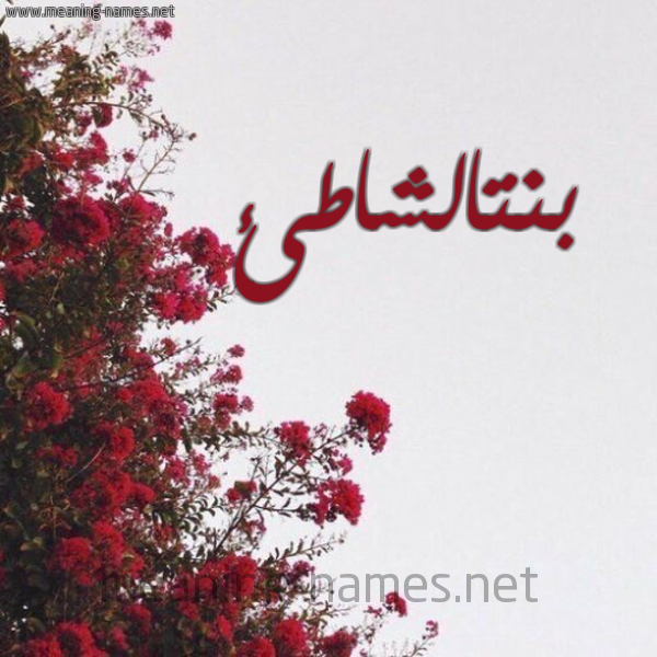 شكل 18 صوره الورد الأحمر للإسم بخط رقعة صورة اسم بنتالشاطئ Bntalshat'i
