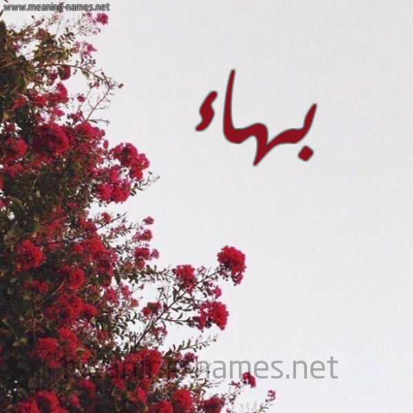 شكل 18 صوره الورد الأحمر للإسم بخط رقعة صورة اسم بهاء Bhaa