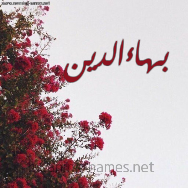 شكل 18 صوره الورد الأحمر للإسم بخط رقعة صورة اسم بهاءالدين Bha"aaldyn