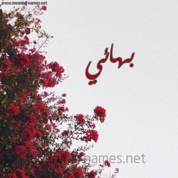 شكل 18 صوره الورد الأحمر للإسم بخط رقعة صورة اسم بهائي BHAEI