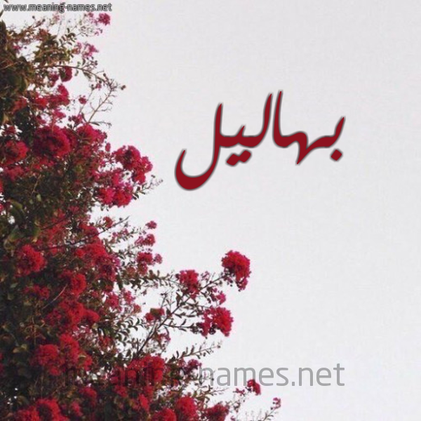 شكل 18 صوره الورد الأحمر للإسم بخط رقعة صورة اسم بهاليل Bhalyl