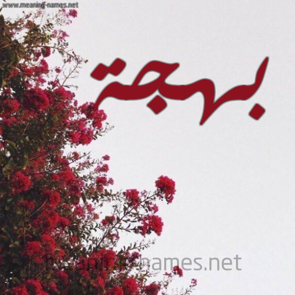 شكل 18 صوره الورد الأحمر للإسم بخط رقعة صورة اسم بهجة Bhjh