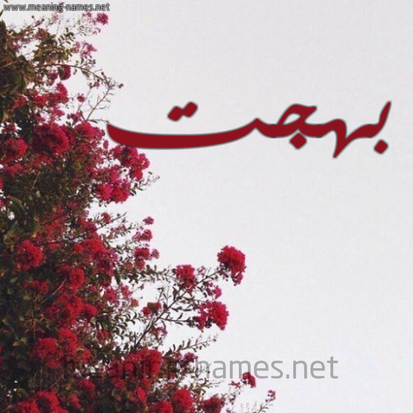 شكل 18 صوره الورد الأحمر للإسم بخط رقعة صورة اسم بهجت Bhgt
