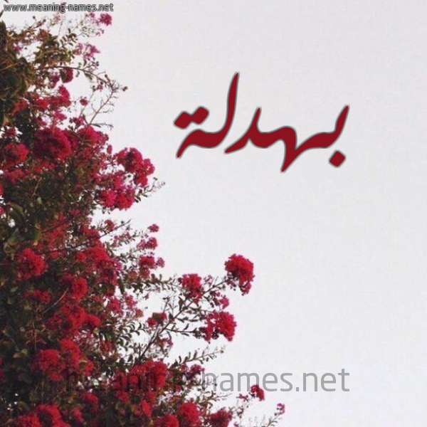 شكل 18 صوره الورد الأحمر للإسم بخط رقعة صورة اسم بهدلة Bhdlh