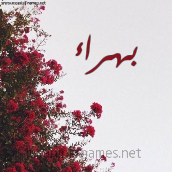شكل 18 صوره الورد الأحمر للإسم بخط رقعة صورة اسم بهراء Bhra'a