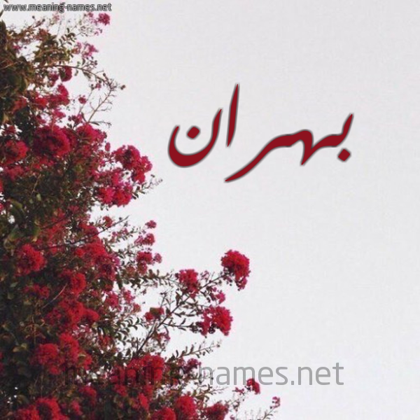 شكل 18 صوره الورد الأحمر للإسم بخط رقعة صورة اسم بهران Bhran