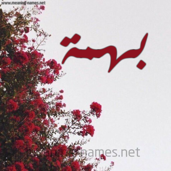 شكل 18 صوره الورد الأحمر للإسم بخط رقعة صورة اسم بهمة Bhmh