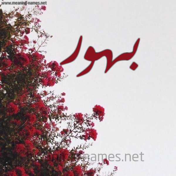 شكل 18 صوره الورد الأحمر للإسم بخط رقعة صورة اسم بهور Bhwr