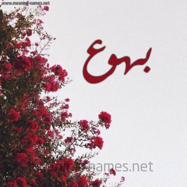شكل 18 صوره الورد الأحمر للإسم بخط رقعة صورة اسم بهوع Bhw'