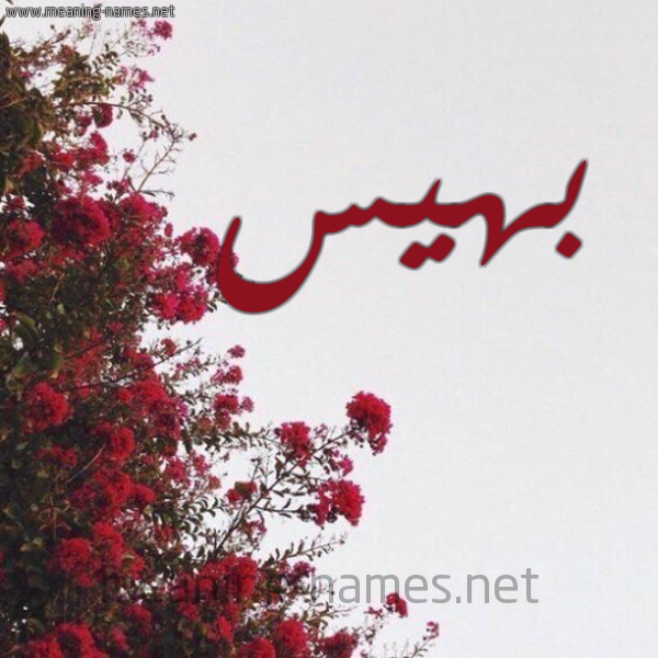 شكل 18 صوره الورد الأحمر للإسم بخط رقعة صورة اسم بهيس Bahis