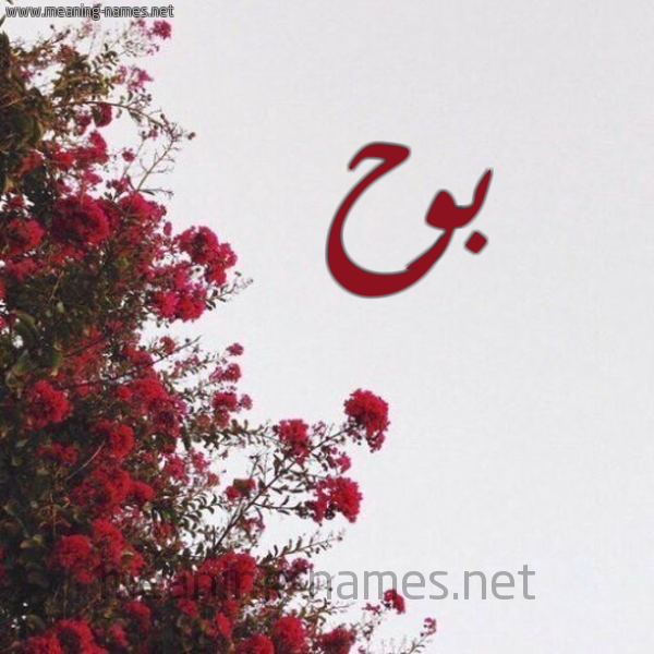 شكل 18 صوره الورد الأحمر للإسم بخط رقعة صورة اسم بوح Bwh