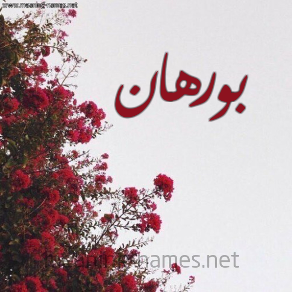 شكل 18 صوره الورد الأحمر للإسم بخط رقعة صورة اسم بورهان Borhan