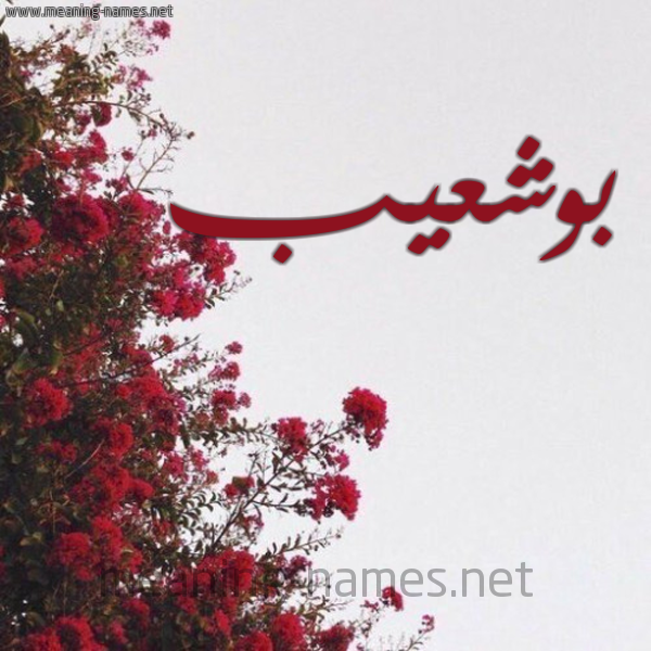شكل 18 صوره الورد الأحمر للإسم بخط رقعة صورة اسم بوشعيب BOUCHAIB