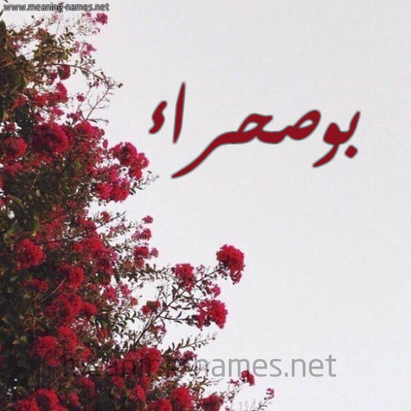 شكل 18 صوره الورد الأحمر للإسم بخط رقعة صورة اسم بوصحراء BOUSHRA
