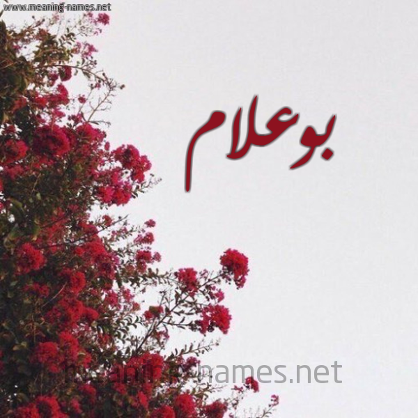 شكل 18 صوره الورد الأحمر للإسم بخط رقعة صورة اسم بوعلام Boulam