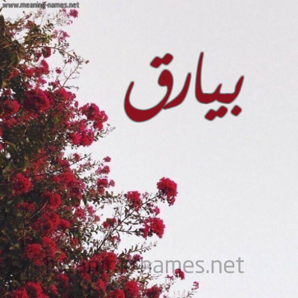 شكل 18 صوره الورد الأحمر للإسم بخط رقعة صورة اسم بيارق Byarq