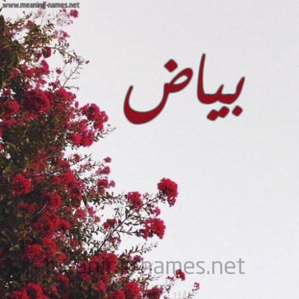 شكل 18 صوره الورد الأحمر للإسم بخط رقعة صورة اسم بياض Byad