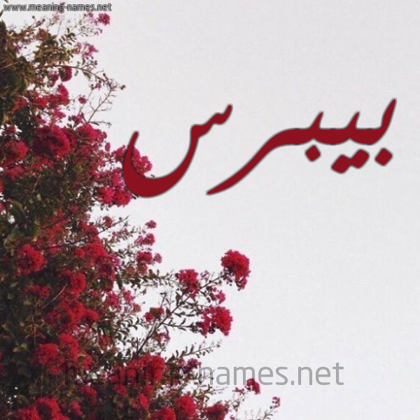 شكل 18 صوره الورد الأحمر للإسم بخط رقعة صورة اسم بيبرس Beybars