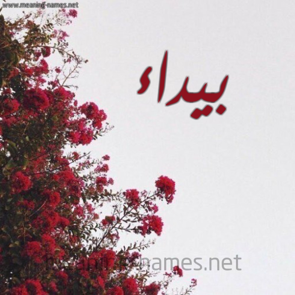شكل 18 صوره الورد الأحمر للإسم بخط رقعة صورة اسم بيداء Bydaa