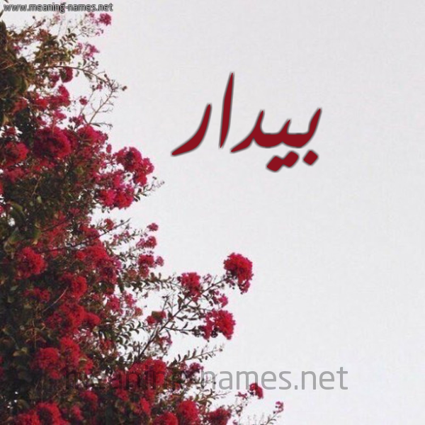 شكل 18 صوره الورد الأحمر للإسم بخط رقعة صورة اسم بيدار Badar
