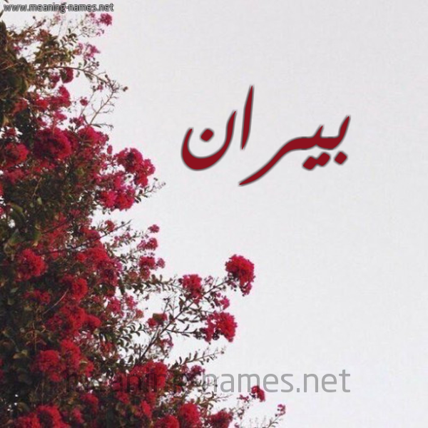 شكل 18 صوره الورد الأحمر للإسم بخط رقعة صورة اسم بيران biran