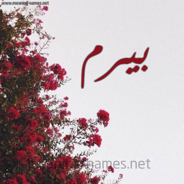 شكل 18 صوره الورد الأحمر للإسم بخط رقعة صورة اسم بيرم Birm