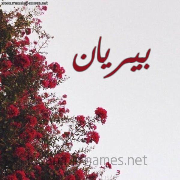 شكل 18 صوره الورد الأحمر للإسم بخط رقعة صورة اسم بيريان Piran