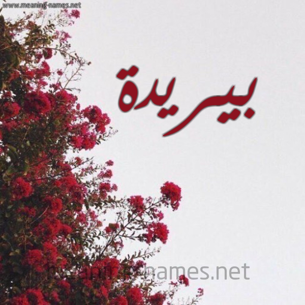 شكل 18 صوره الورد الأحمر للإسم بخط رقعة صورة اسم بيريدة Buraydah