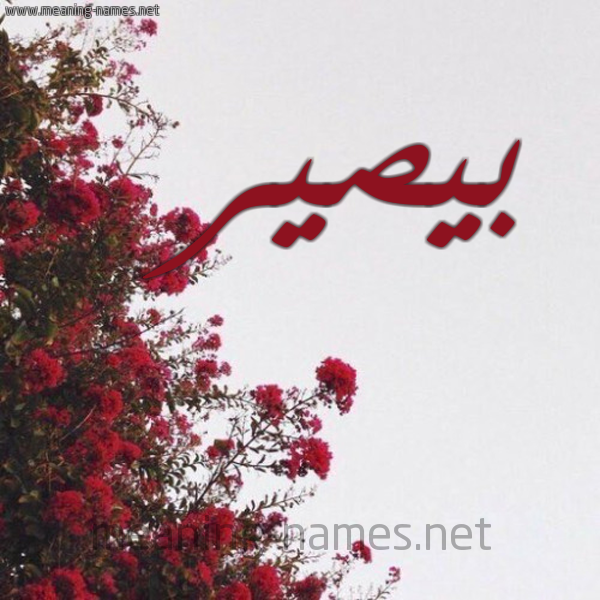 شكل 18 صوره الورد الأحمر للإسم بخط رقعة صورة اسم بيصير Bassir
