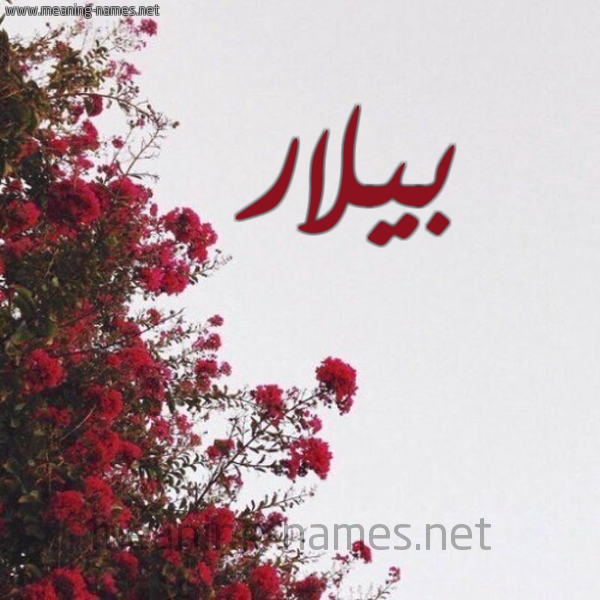 شكل 18 صوره الورد الأحمر للإسم بخط رقعة صورة اسم بيلار Bilar