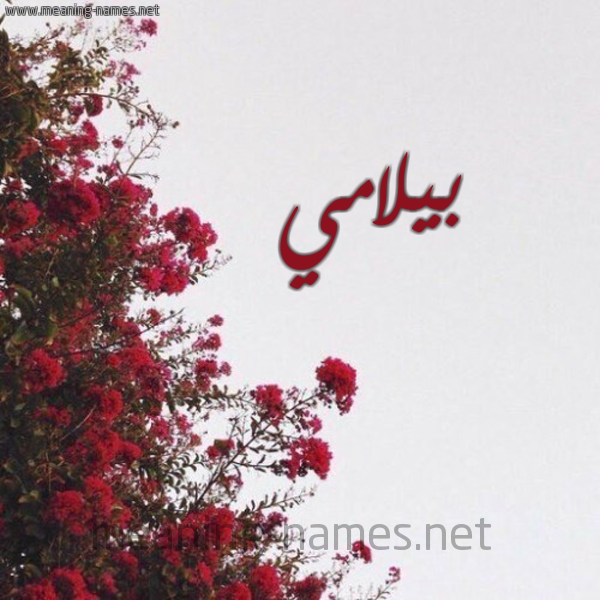 شكل 18 صوره الورد الأحمر للإسم بخط رقعة صورة اسم بيلامي bilmi