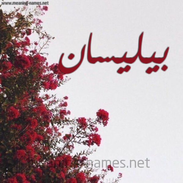 شكل 18 صوره الورد الأحمر للإسم بخط رقعة صورة اسم بيليسان Baylisan