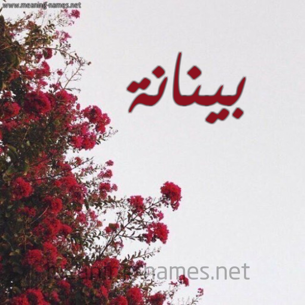 شكل 18 صوره الورد الأحمر للإسم بخط رقعة صورة اسم بينانة Bananah