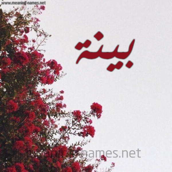 شكل 18 صوره الورد الأحمر للإسم بخط رقعة صورة اسم بينة Baiena