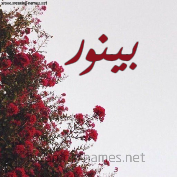 شكل 18 صوره الورد الأحمر للإسم بخط رقعة صورة اسم بينور Binnur