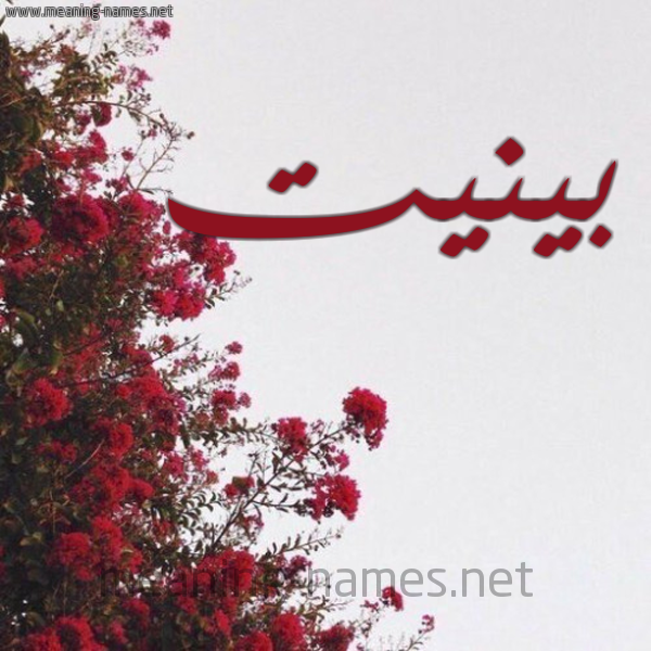 شكل 18 صوره الورد الأحمر للإسم بخط رقعة صورة اسم بينيت binit
