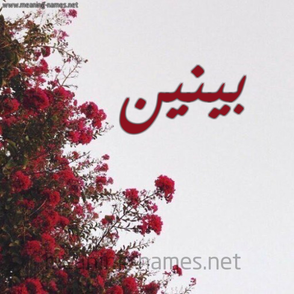 شكل 18 صوره الورد الأحمر للإسم بخط رقعة صورة اسم بينين Banen