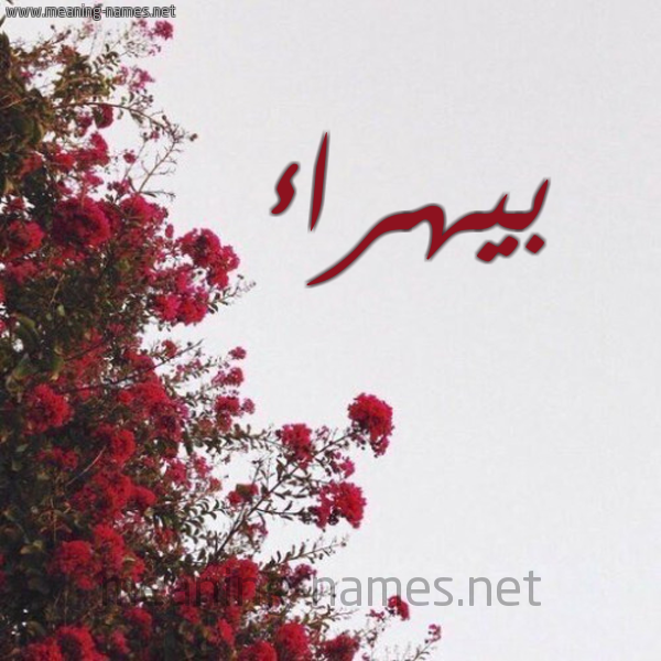 شكل 18 صوره الورد الأحمر للإسم بخط رقعة صورة اسم بيهراء Bahraa