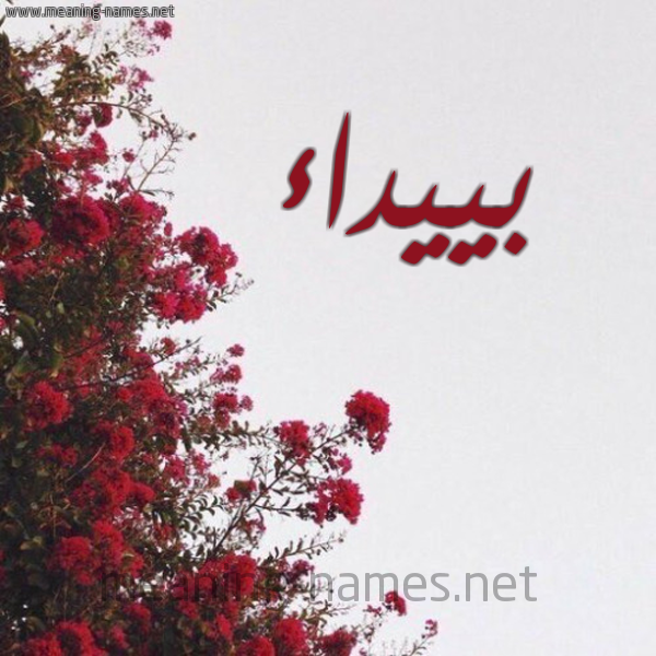 شكل 18 صوره الورد الأحمر للإسم بخط رقعة صورة اسم بييداء Baidaa