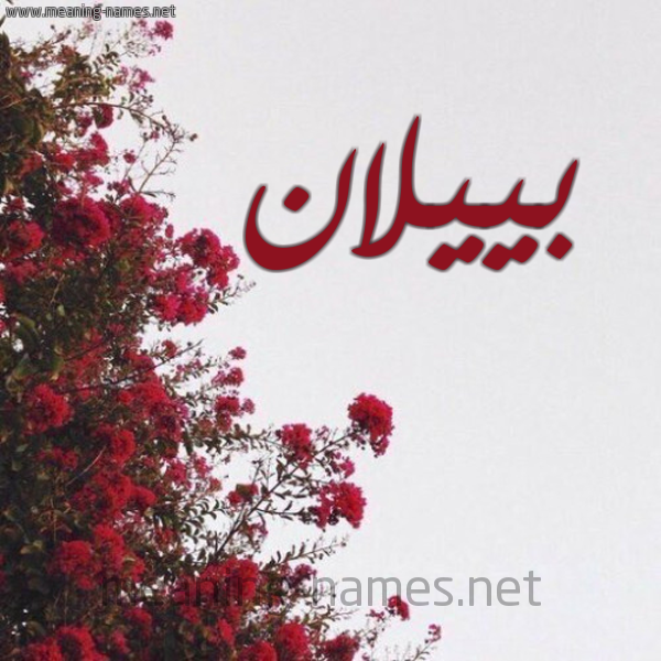 شكل 18 صوره الورد الأحمر للإسم بخط رقعة صورة اسم بييلان Bilan