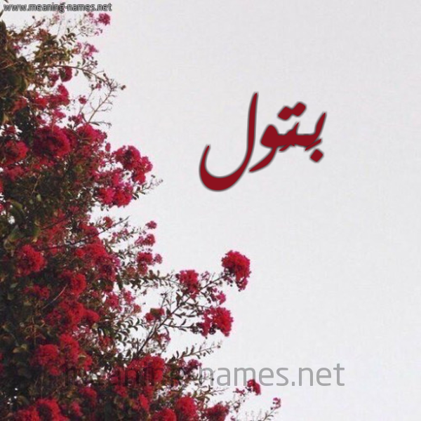 شكل 18 صوره الورد الأحمر للإسم بخط رقعة صورة اسم بَتُول Batool
