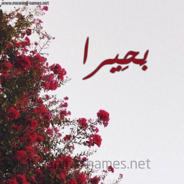 شكل 18 صوره الورد الأحمر للإسم بخط رقعة صورة اسم بَحِيرا BAHEIRA