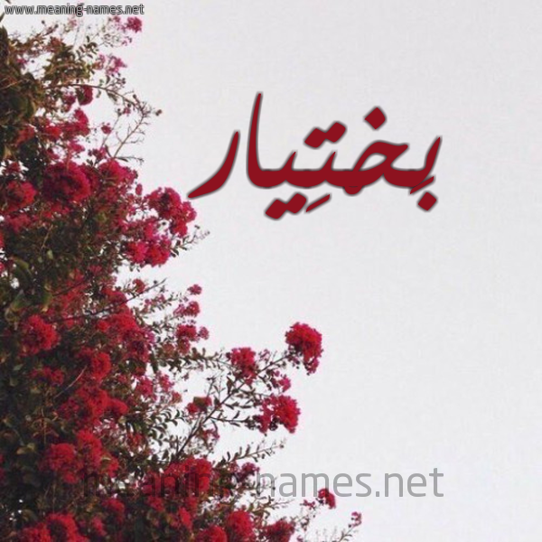 شكل 18 صوره الورد الأحمر للإسم بخط رقعة صورة اسم بَخْتِيار BAKHTEIAR