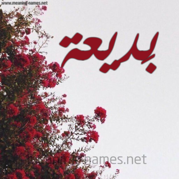 شكل 18 صوره الورد الأحمر للإسم بخط رقعة صورة اسم بَديعة BADIAH