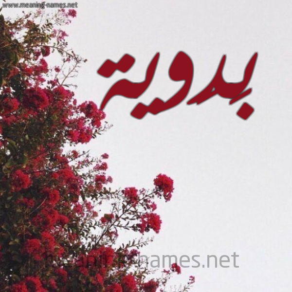 شكل 18 صوره الورد الأحمر للإسم بخط رقعة صورة اسم بَدَوية BADAOIH