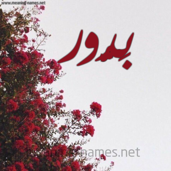 شكل 18 صوره الورد الأحمر للإسم بخط رقعة صورة اسم بَدُّور BADOOR شكل 18 صوره الورد الأحمر للإسم بخط رقعة صورة اسم بَدُّور BADOOR