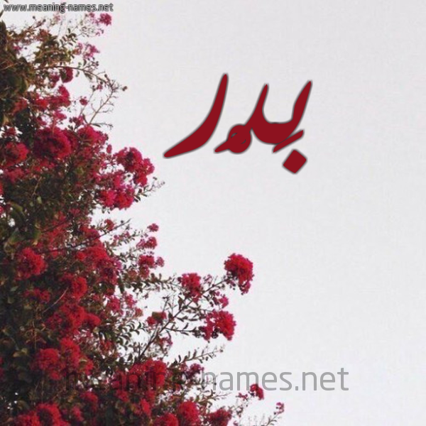 شكل 18 صوره الورد الأحمر للإسم بخط رقعة صورة اسم بَدْر Badr