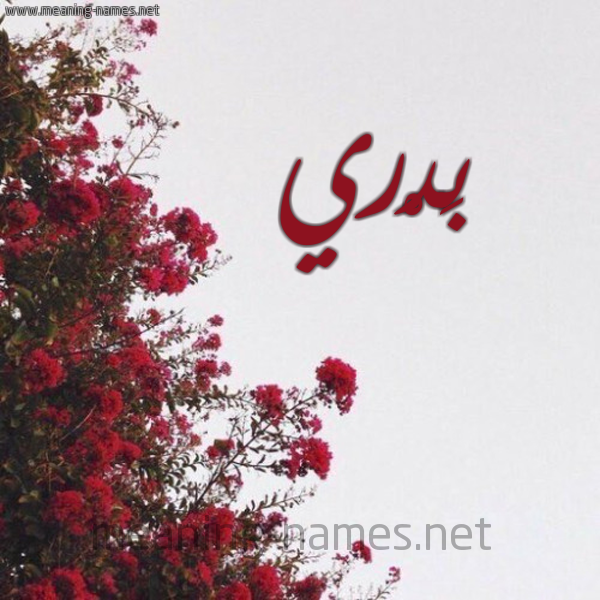 شكل 18 صوره الورد الأحمر للإسم بخط رقعة صورة اسم بَدْري BADRI