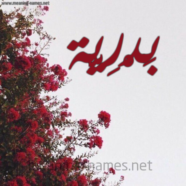 شكل 18 صوره الورد الأحمر للإسم بخط رقعة صورة اسم بَدْرِيَّة BADREIA