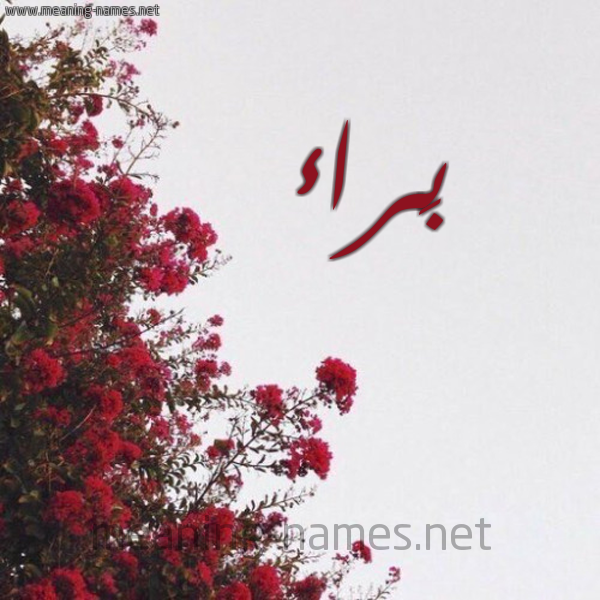 شكل 18 صوره الورد الأحمر للإسم بخط رقعة صورة اسم بَراء BARAA